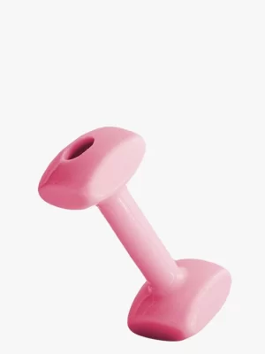Toy for Puppy