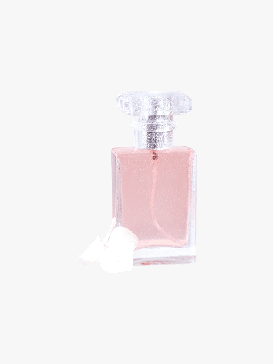 Elegant Dream